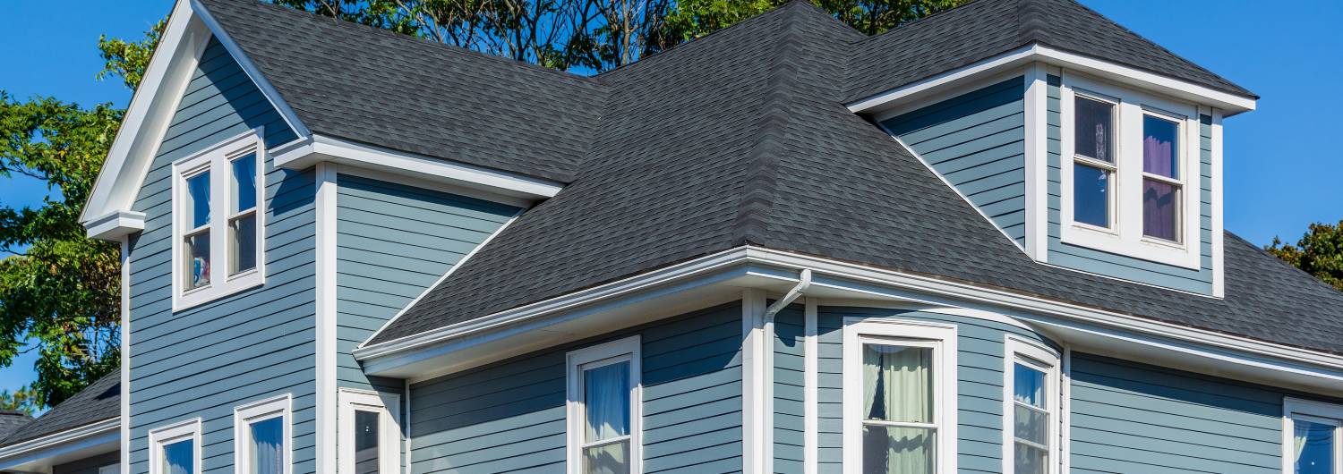 Termite Treatment